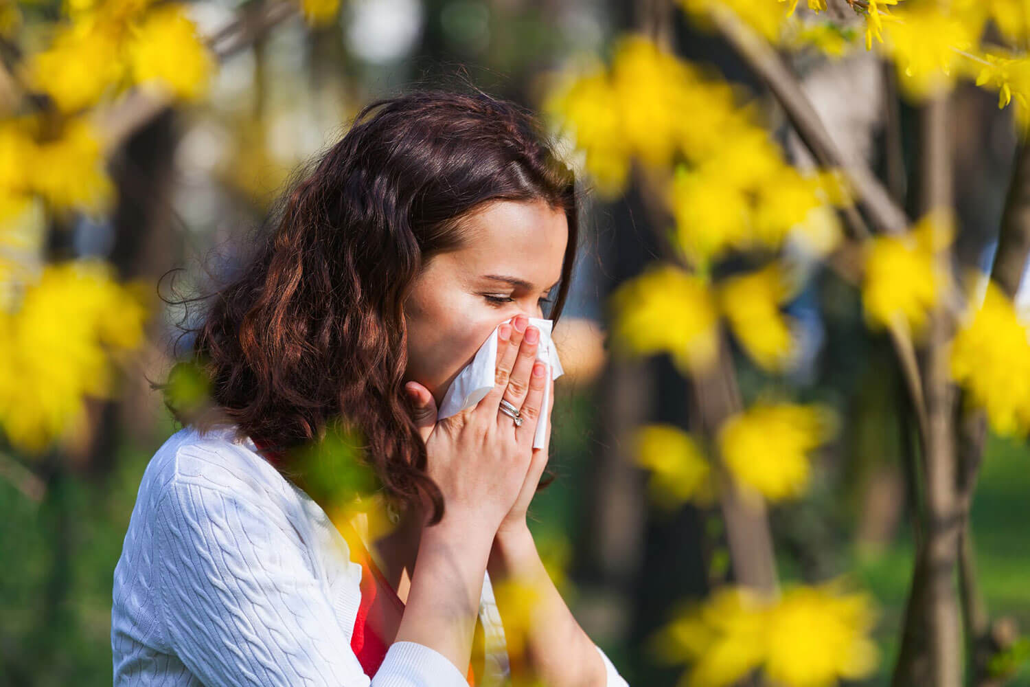 Alergias Respiratórias na primavera: como prevenir e controlar os sintomas?