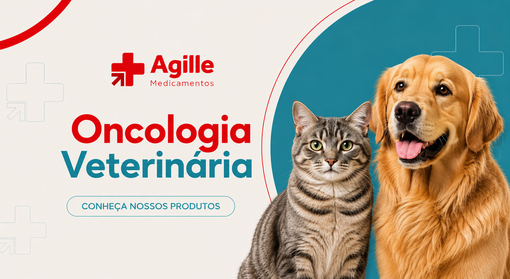 Medicamentos veterinários