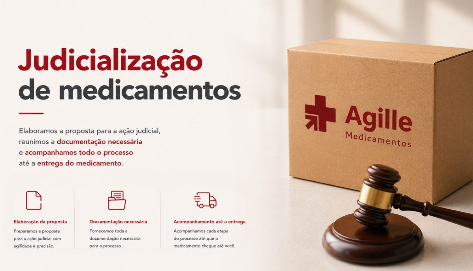 Judicialização